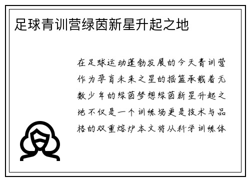 足球青训营绿茵新星升起之地